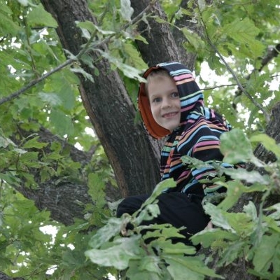 Высоко забрался